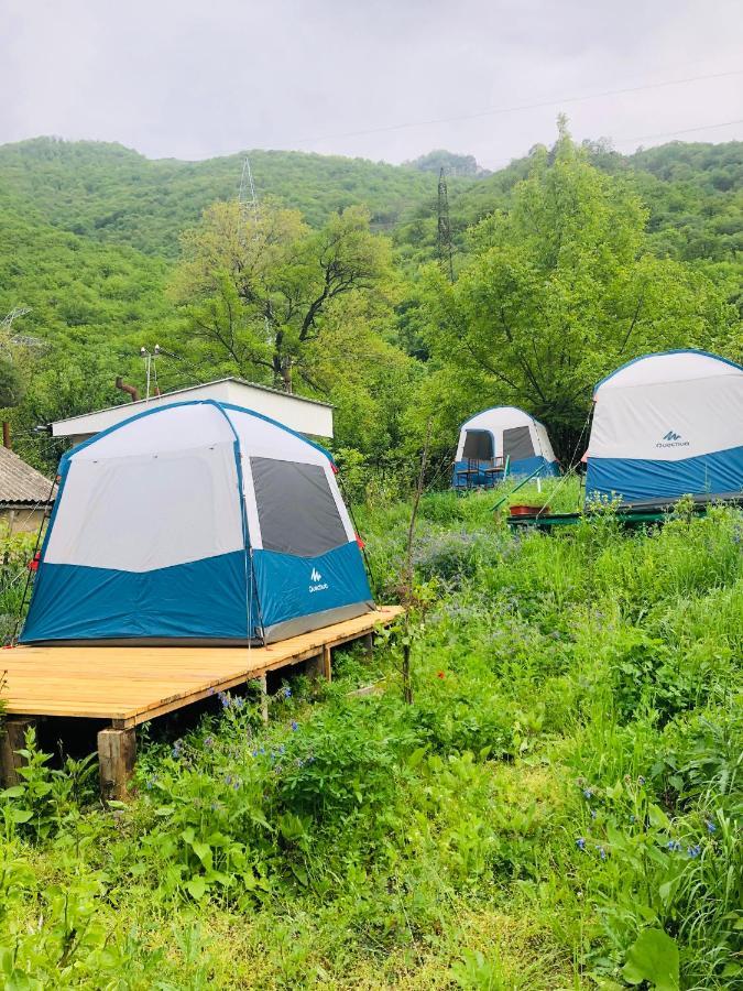 Hotel Tereza Glamping à Sanain Extérieur photo