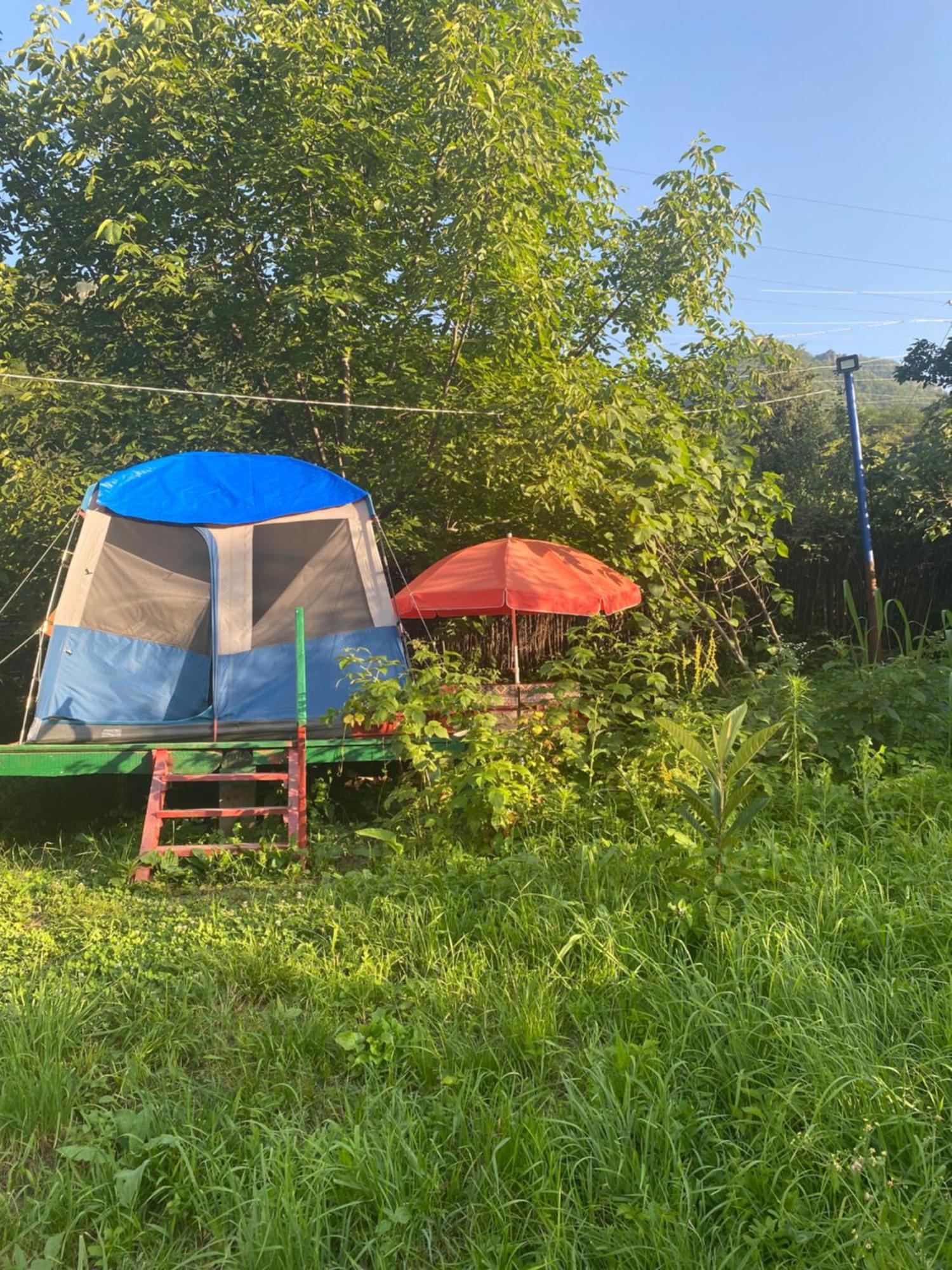 Hotel Tereza Glamping à Sanain Extérieur photo
