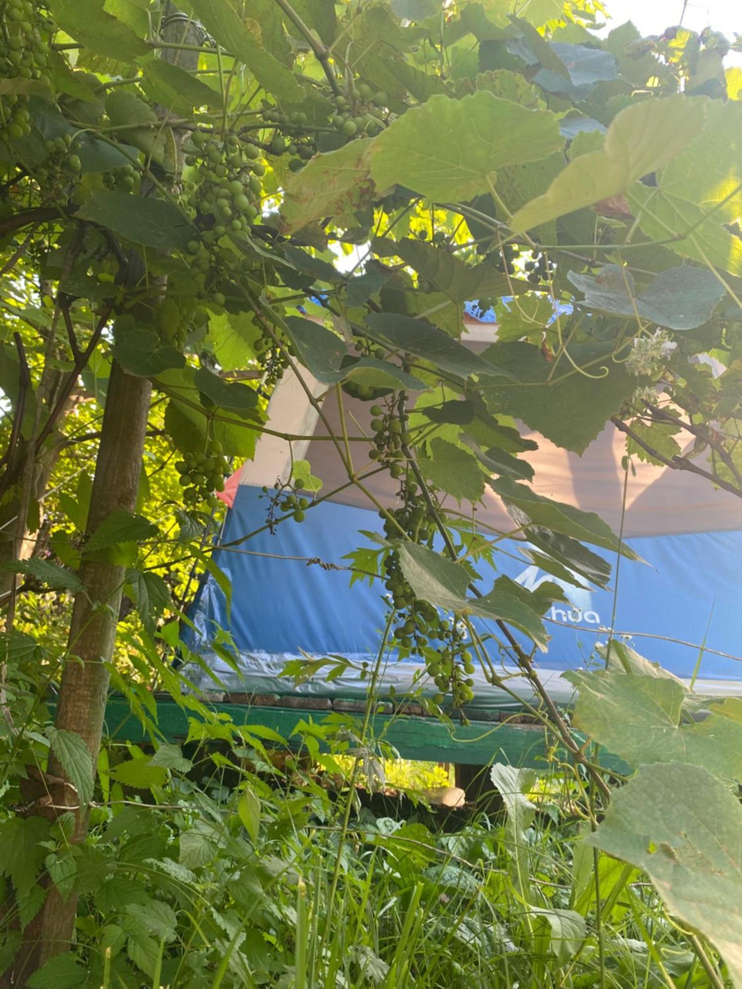 Hotel Tereza Glamping à Sanain Extérieur photo