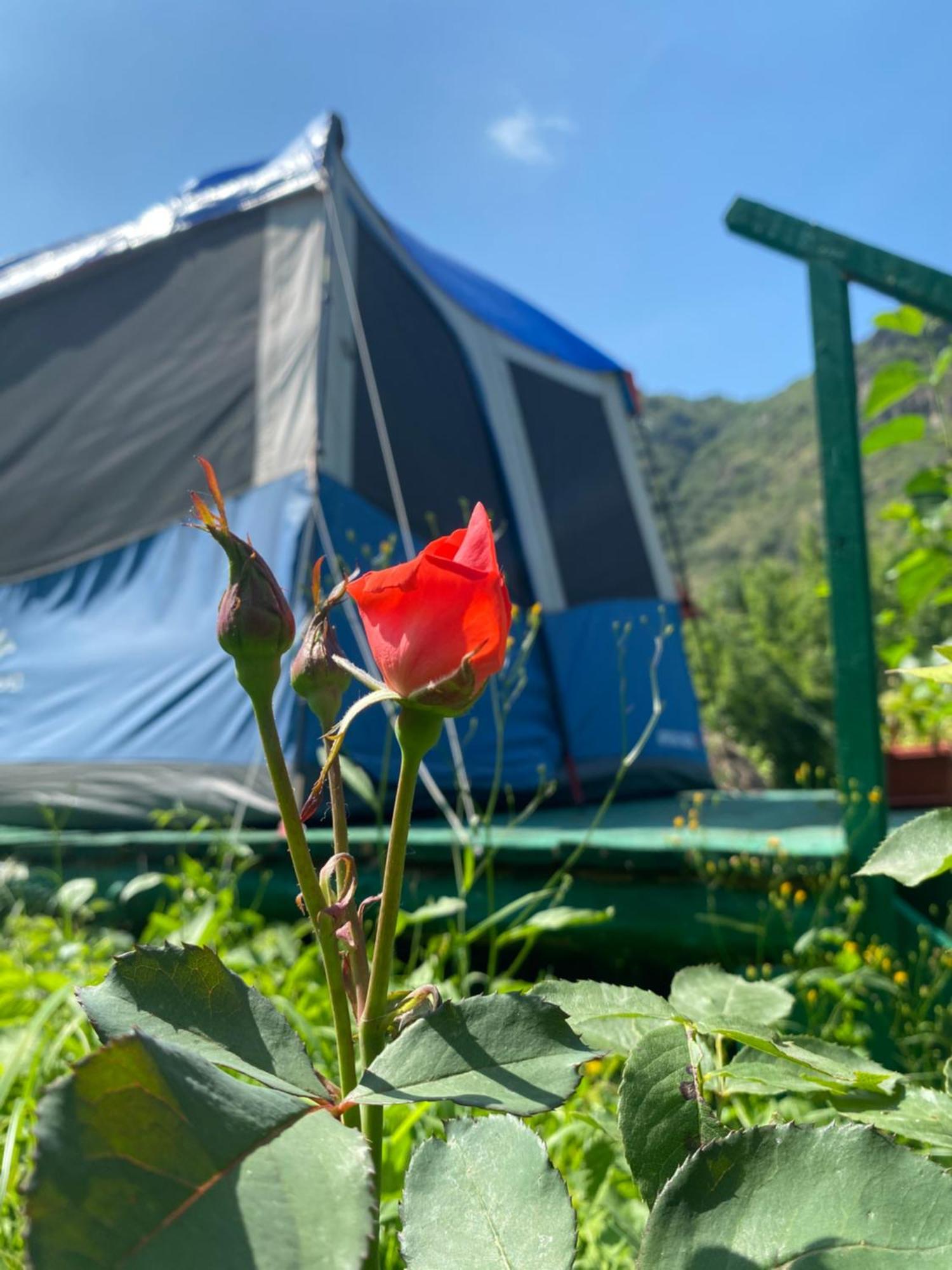 Hotel Tereza Glamping à Sanain Extérieur photo