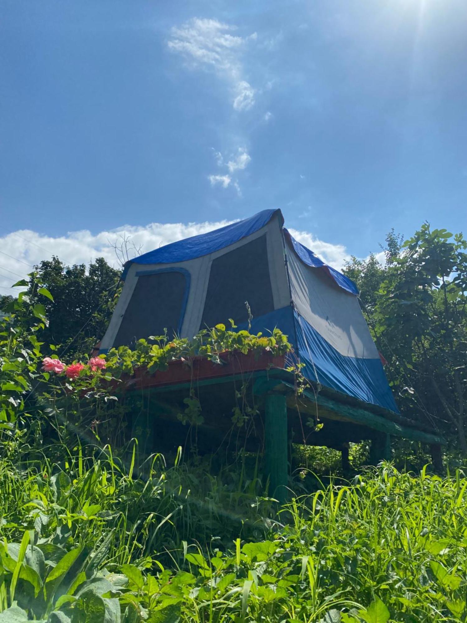 Hotel Tereza Glamping à Sanain Extérieur photo