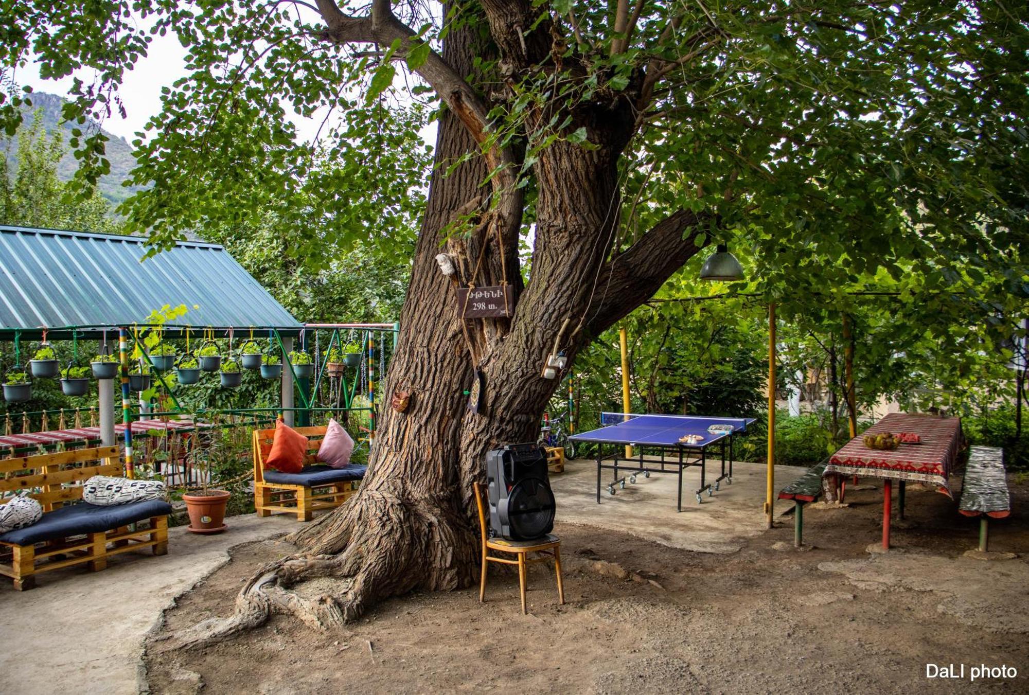 Hotel Tereza Glamping à Sanain Extérieur photo